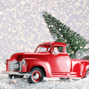 Before you leave Houston via I-45 or I-10 this holiday, remember this unfortunate truth: auto glass damage is often triggered by the smallest issue.